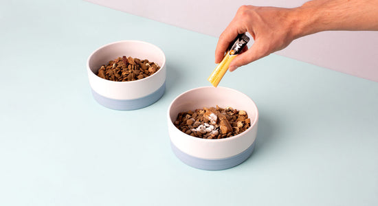 add powder to favorite meal