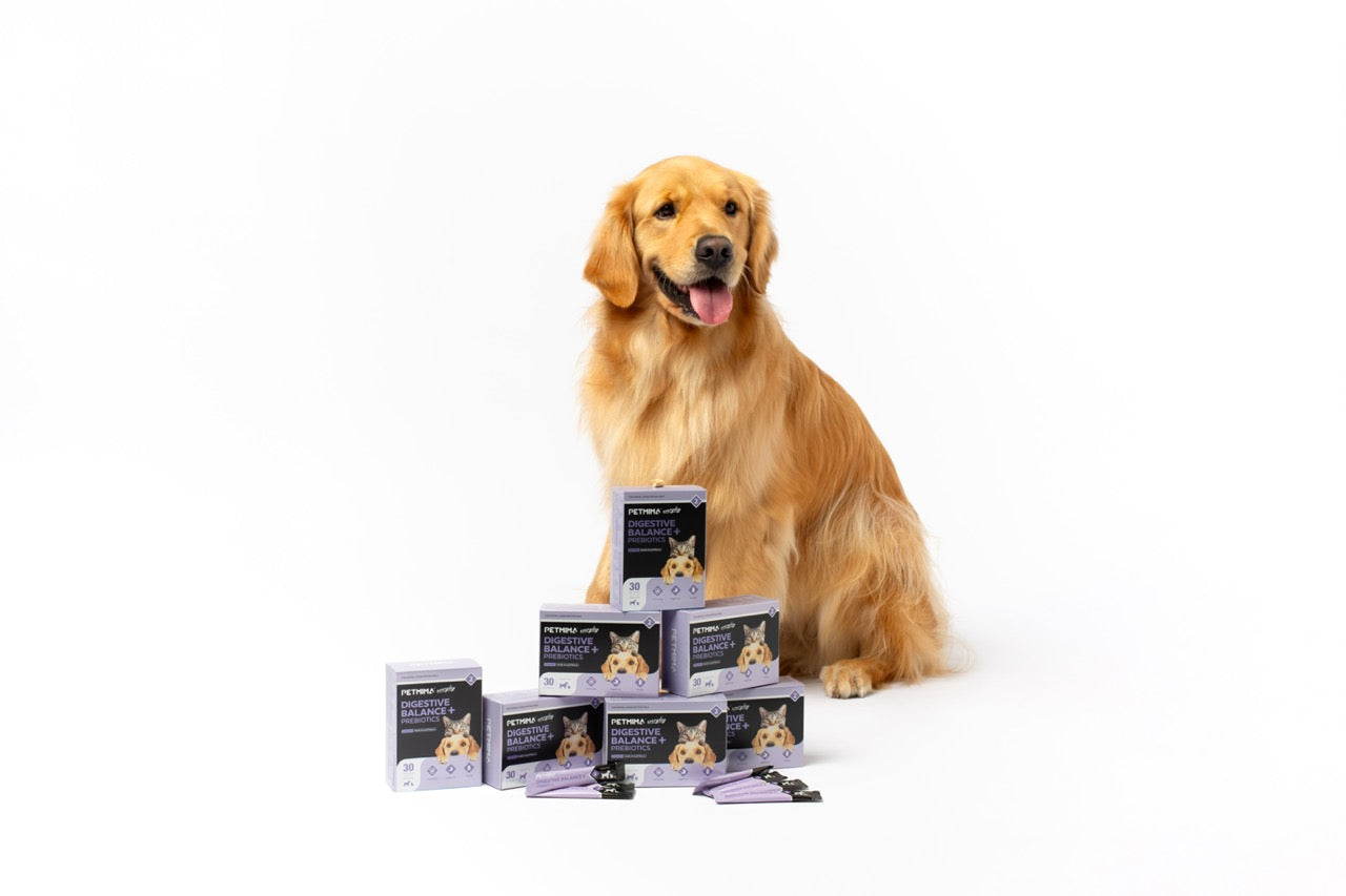 dog probiotic powder
