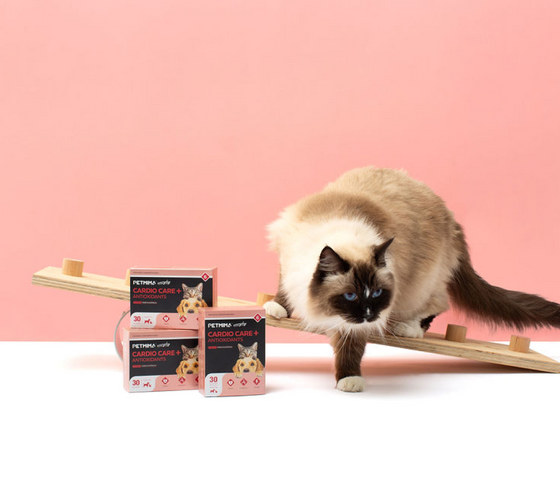 Cardio Care heart supplements for dogs