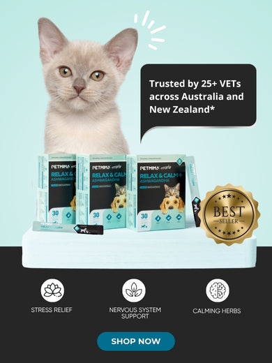 anxiety supplements for cats