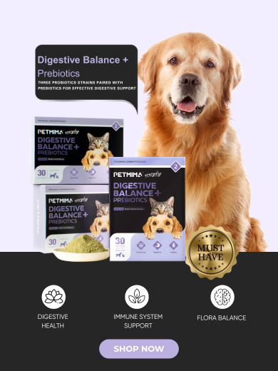 probiotics for dogs