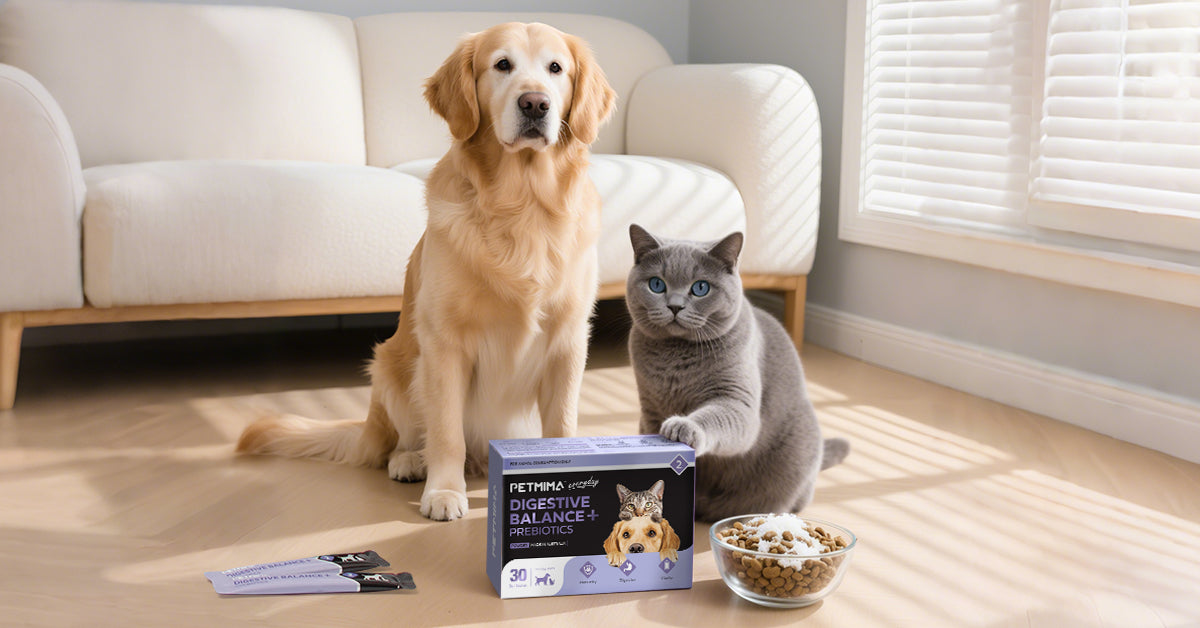 Dog and cat sitting on a floor with Probiotics for Dogs and Cats in Australia