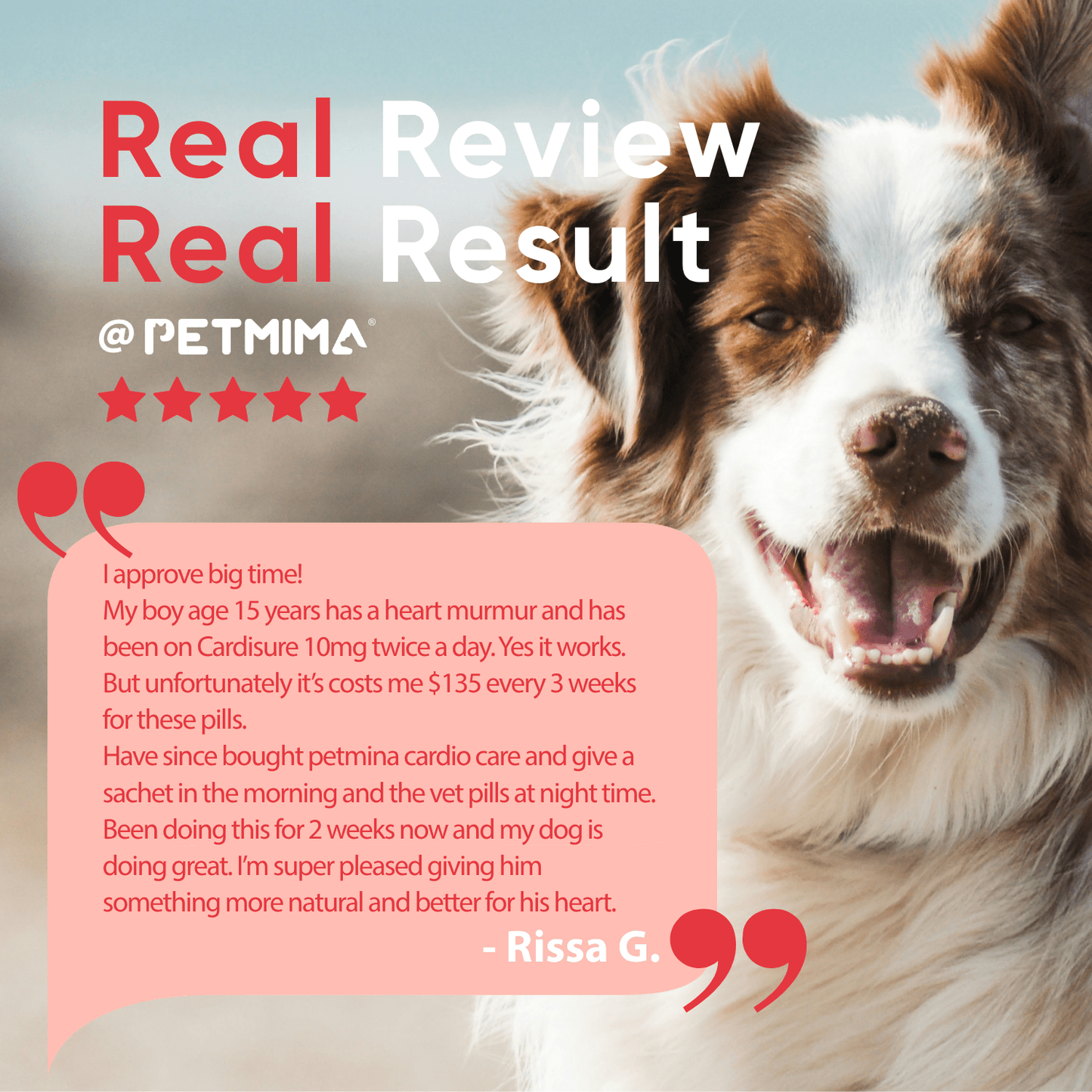heart supplements for dogs review