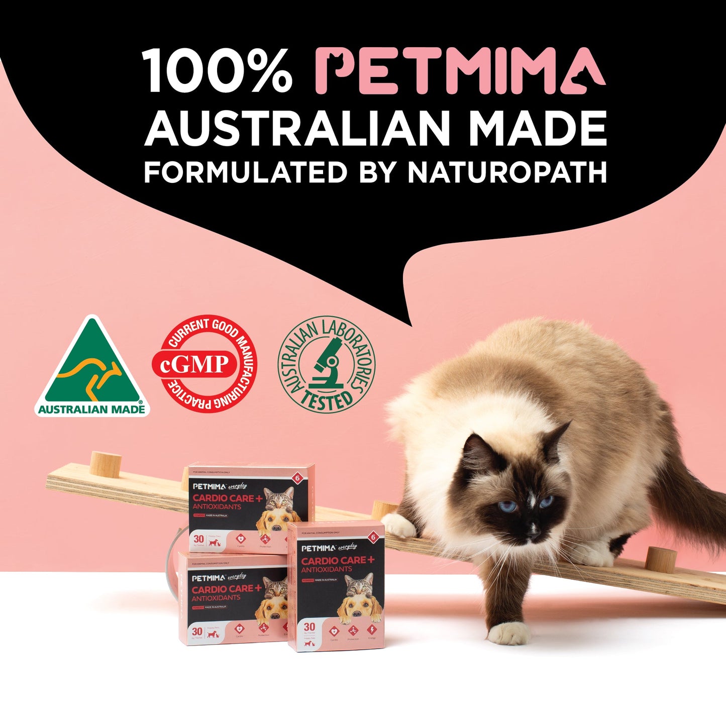 Cat standing on a wooden platform with PETMIMA cardio support for dogs & cats Australian Made with certification
