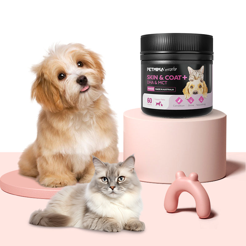 cat and dog skin and coat supplement