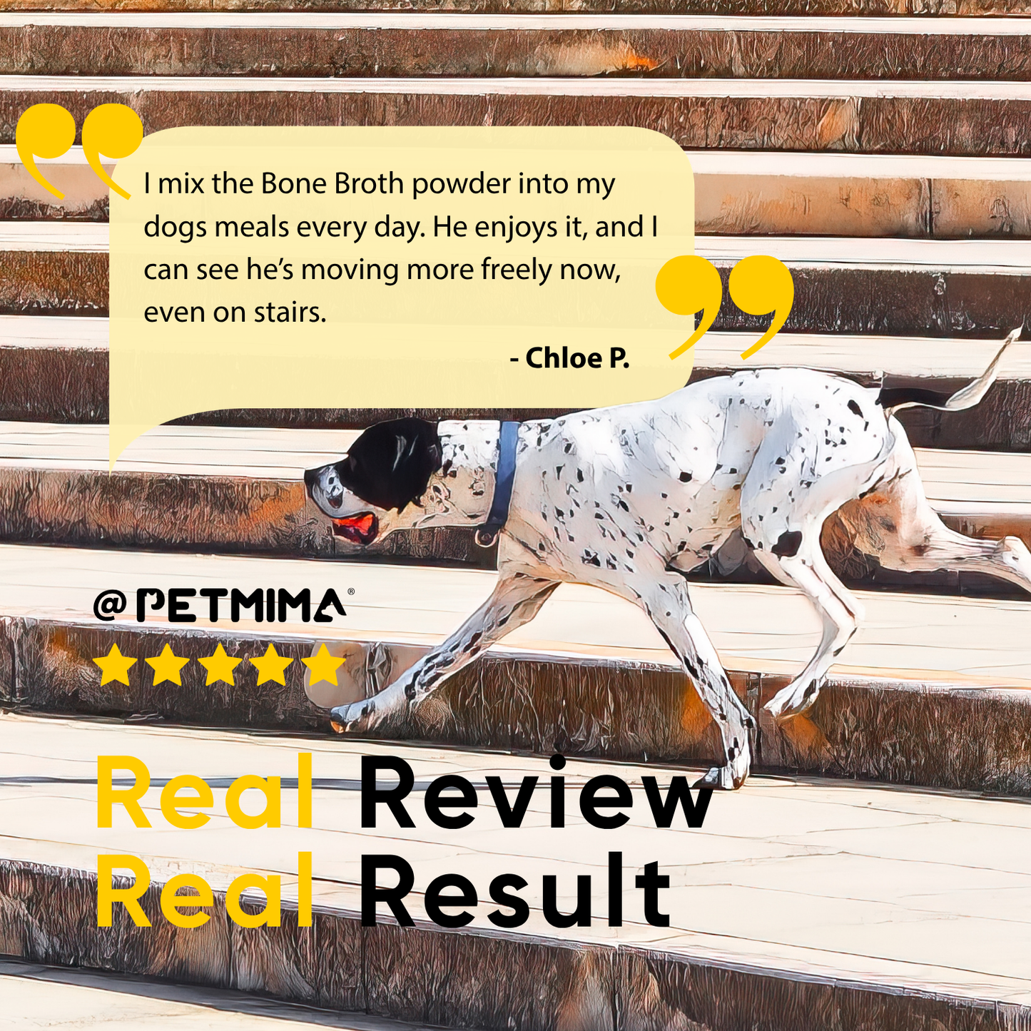 joint supplements for dogs reviews