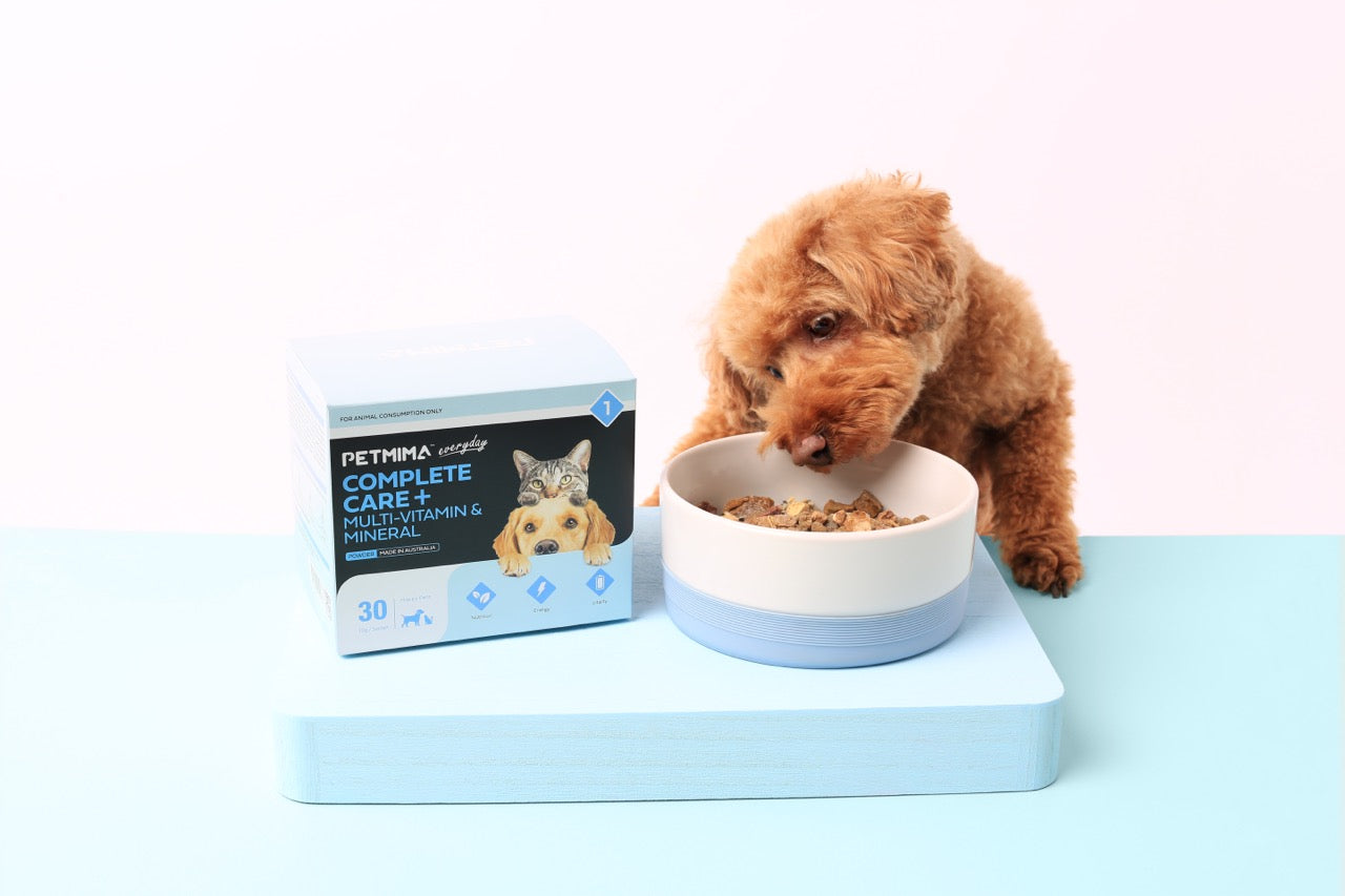multivitamin for dogs