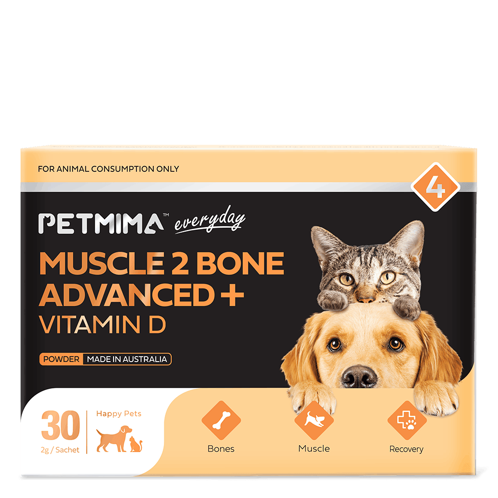 muscle supplements for dogs