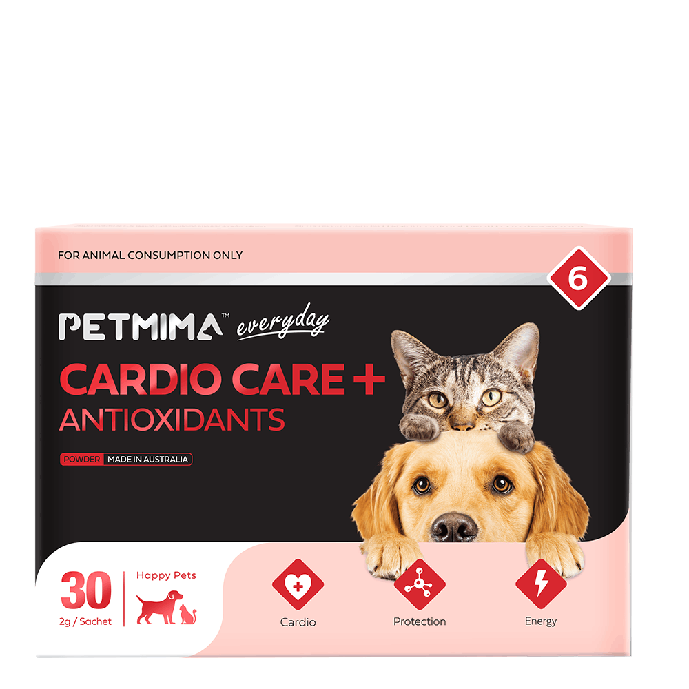 Cardio Care Pet Supplement