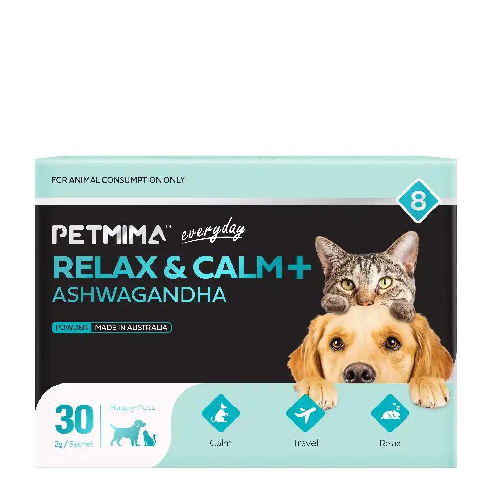 dog calming products
