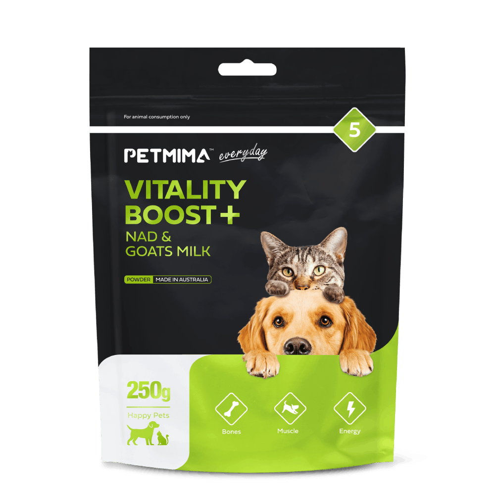 Immunity Boosting Supplements for Dogs & Cats support energy, gut & immune health, longevity & wellness in pets of all ages