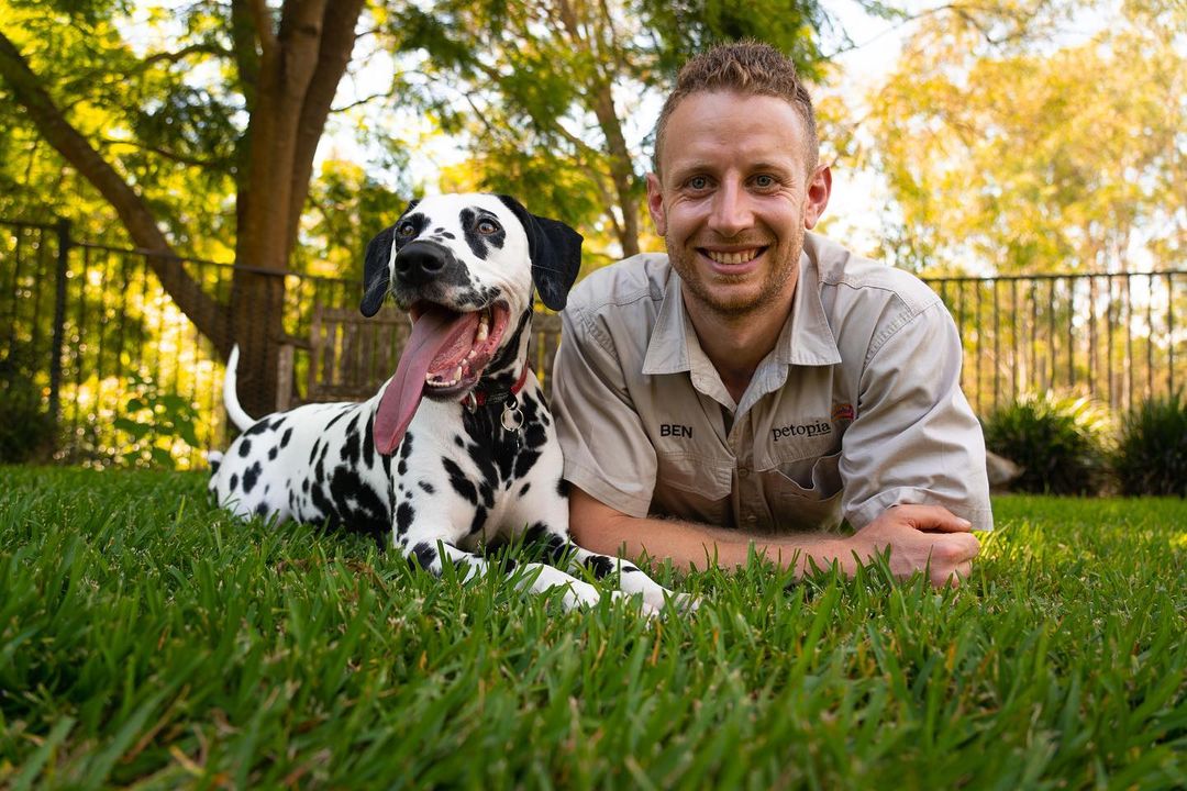 Elevate Your Pet's Health: The Power of Petmima’s  Pet Supplements