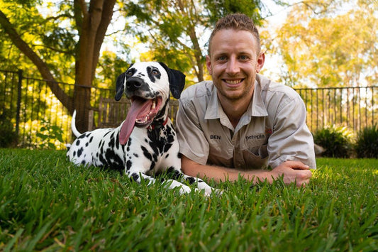 Elevate Your Pet's Health: The Power of Petmima’s  Pet Supplements