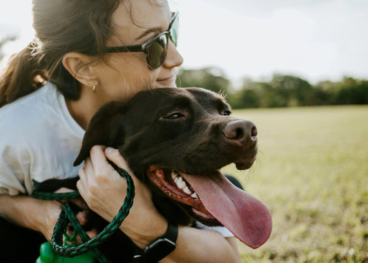 Probiotics for Dogs: Small Daily Habits That Keep Tummies Calm in Australia