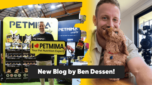 Top Tips for Supplementing the Diet of a Fussy Eater