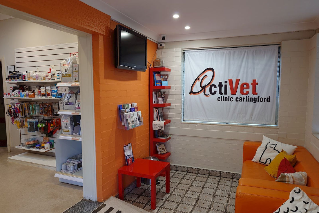 Cardio Care + Antioxidants Activet Review