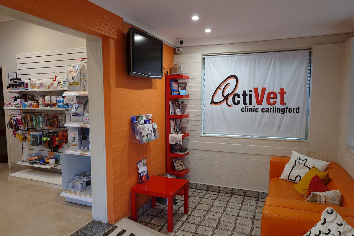 Cardio Care + Antioxidants Activet Review