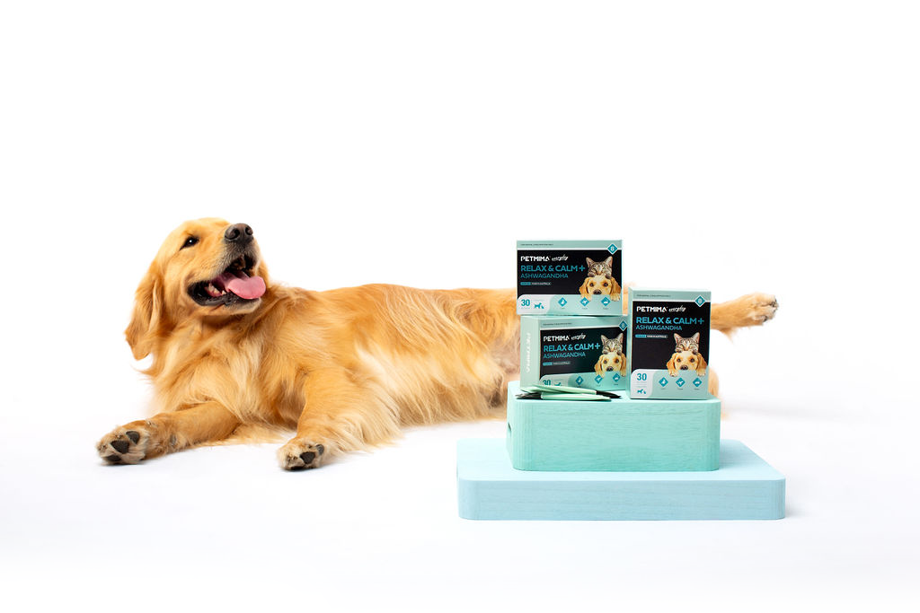 Dog and Cat Anxiety Supplements