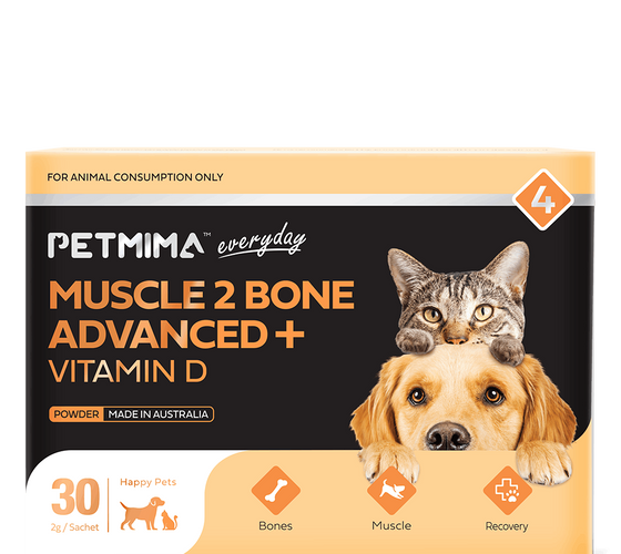 dog joint supplement