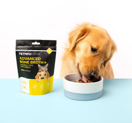 dog joint supplement