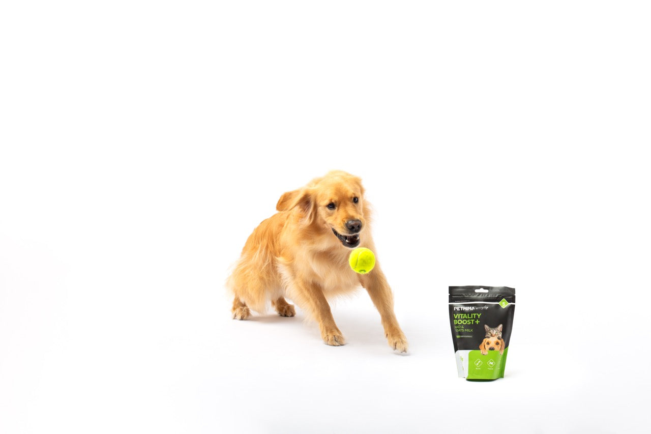 vitamins for dogs