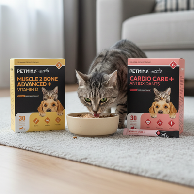 Cat eating from a bowl with two Petima pet food boxes on a rug.
