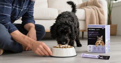 Step 2 - Bon Appétit!