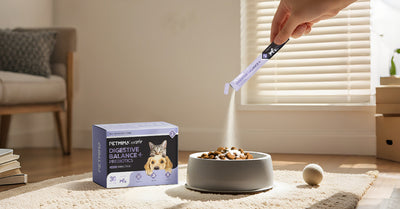 Step 1 - Add powder to their favourite meal!