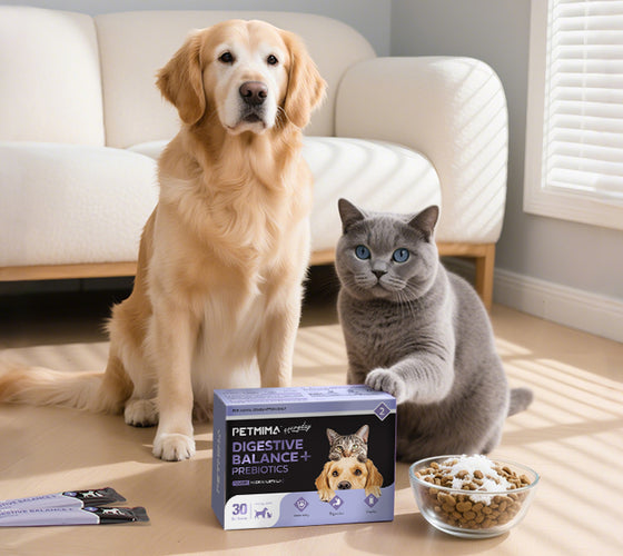 Digestive Balance + Prebiotics