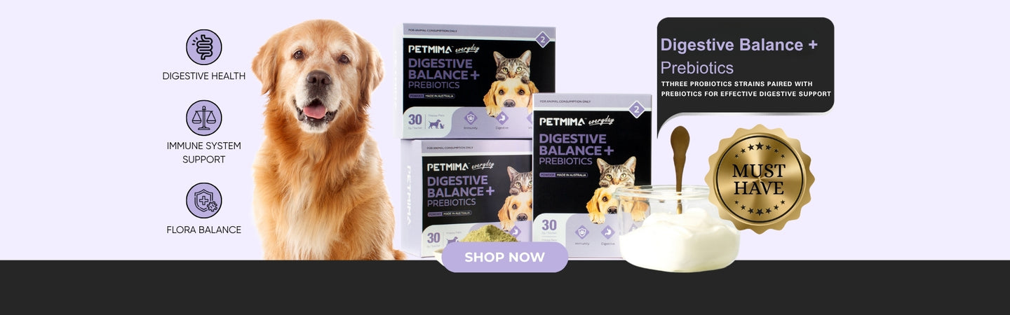 collection banner