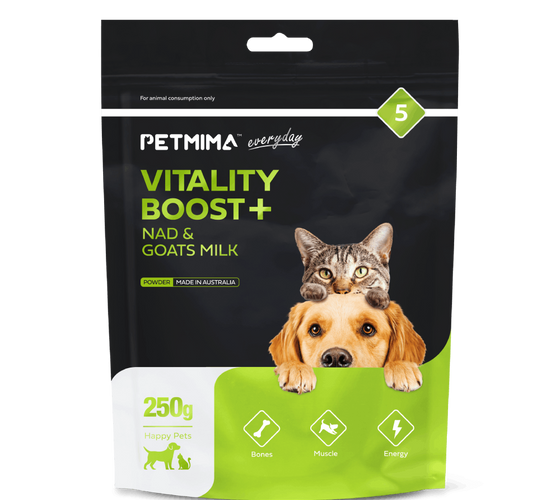 dog vitamins