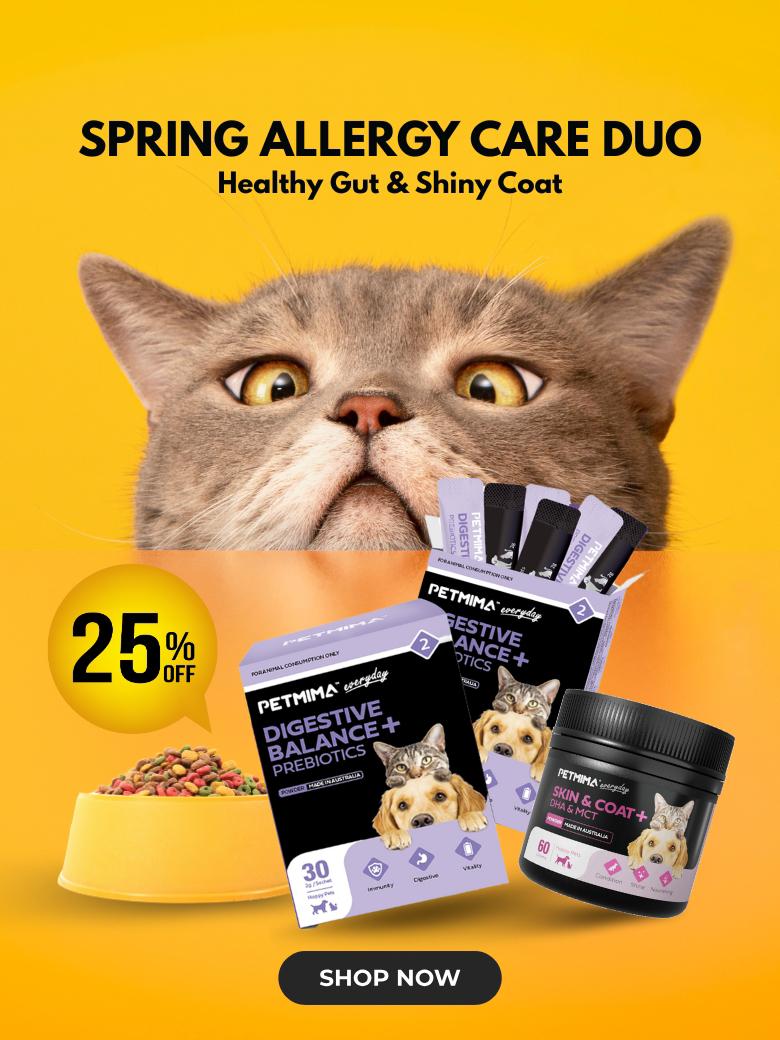 allergy relief for cats