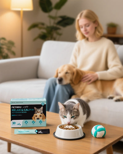 dog calming products helping pets stay calm and relaxed at home