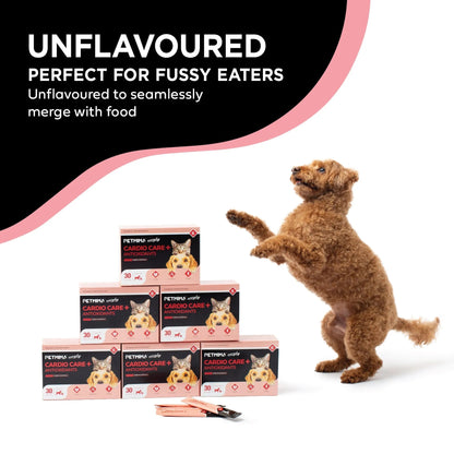 Heart Supplements for Dogs & Cats