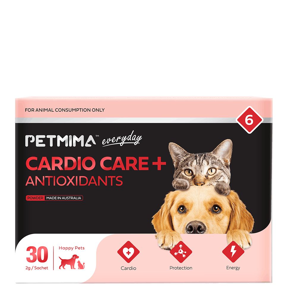 Heart Supplements for Dogs & Cats in Australia, made with natural, science-backed ingredients