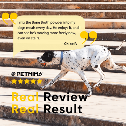 joint supplements for dogs reviews