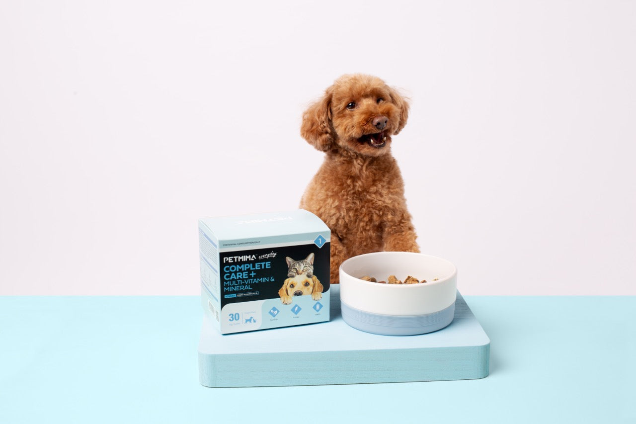 immune booster for dogs and cats