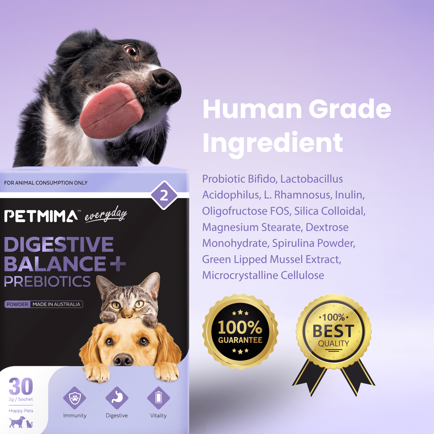 Digestive Balance + Prebiotics