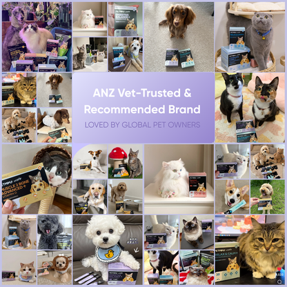 probiotics for dogs reviews