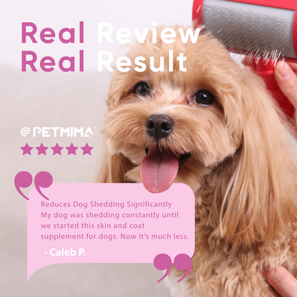 dog brittle nails supplement reviews