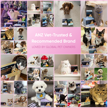 dog coat supplement reviews