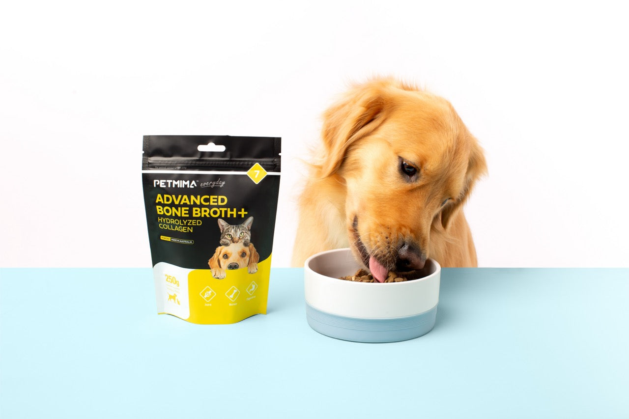 dog joint supplement