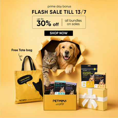 Bundles Up to 30% Off