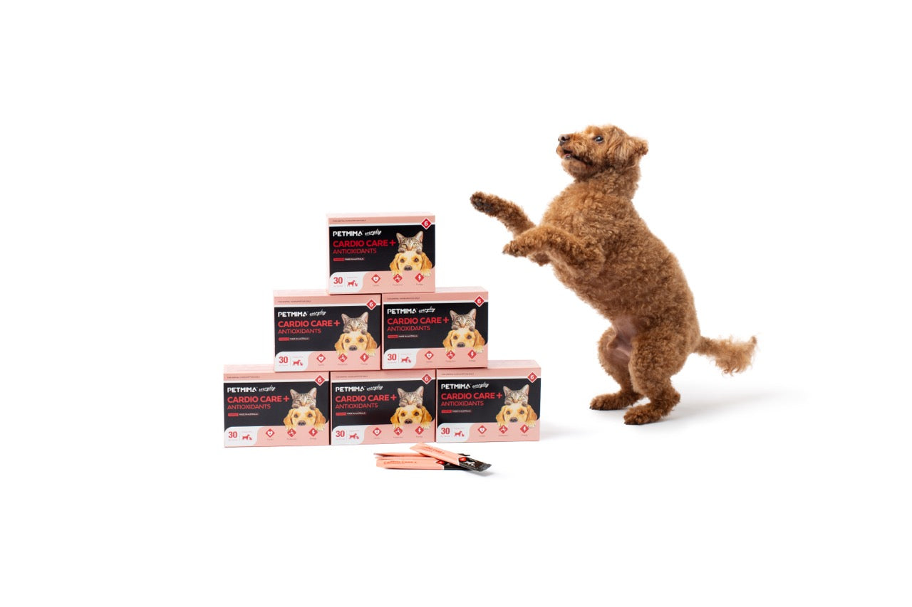 Heart Murmur Dog Supplement