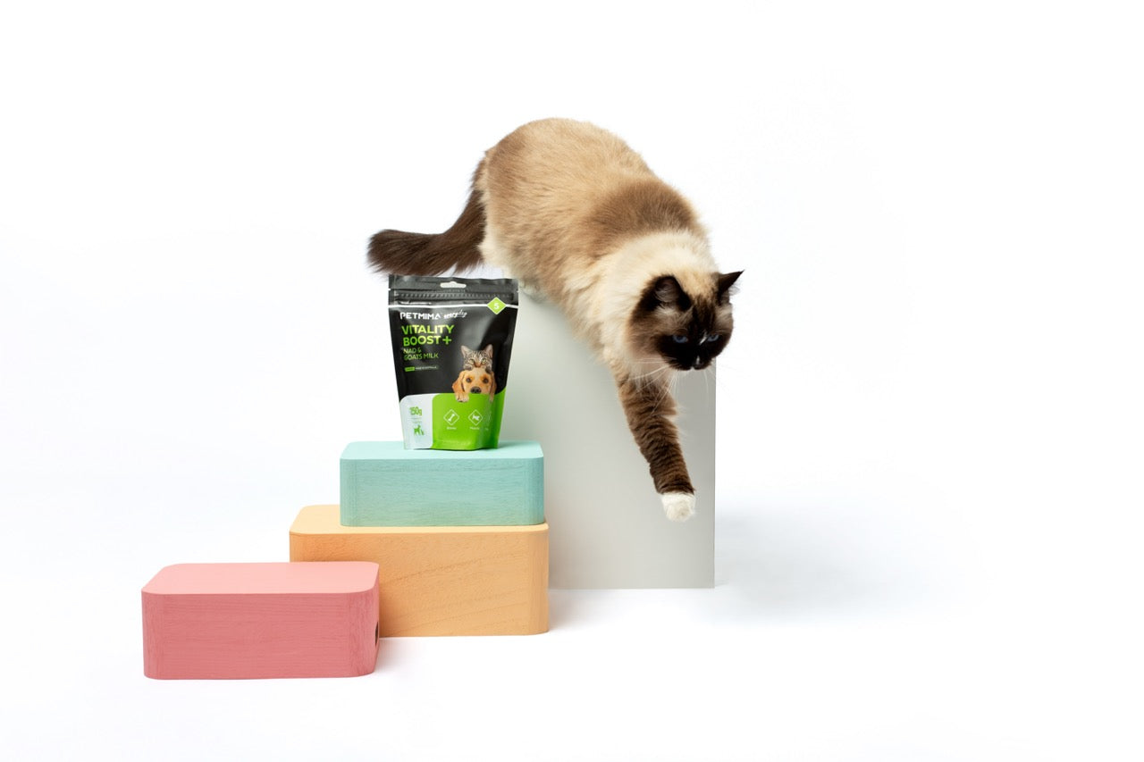 vitamins for cats immune support supplements for dogs and cats with PETMIMA Vitality Boost + NAD & Goats Milk Powder