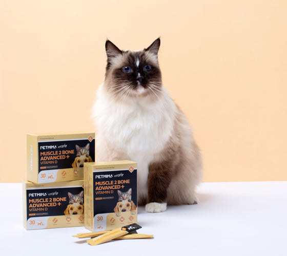 dog joint supplement