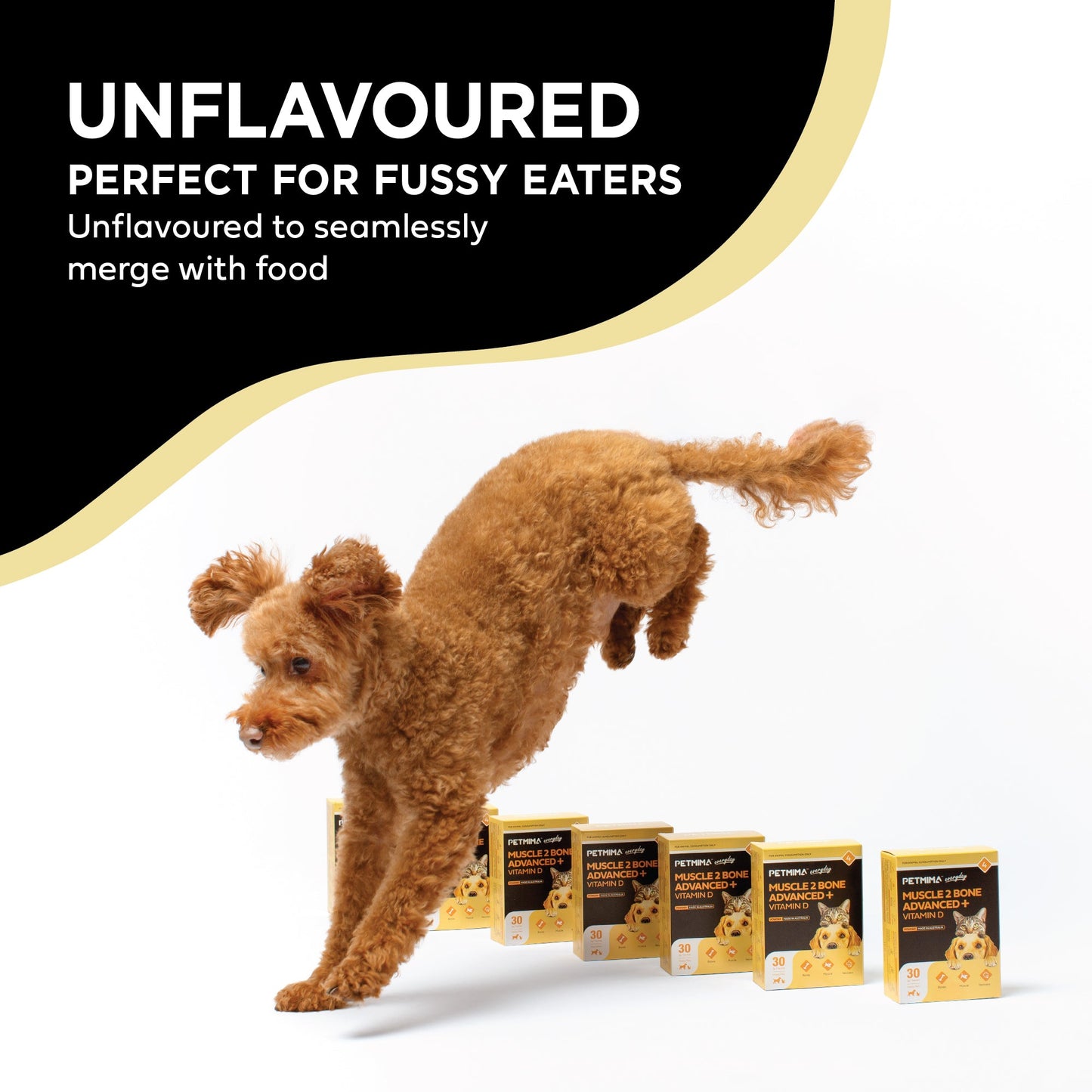 dog muscle supplement