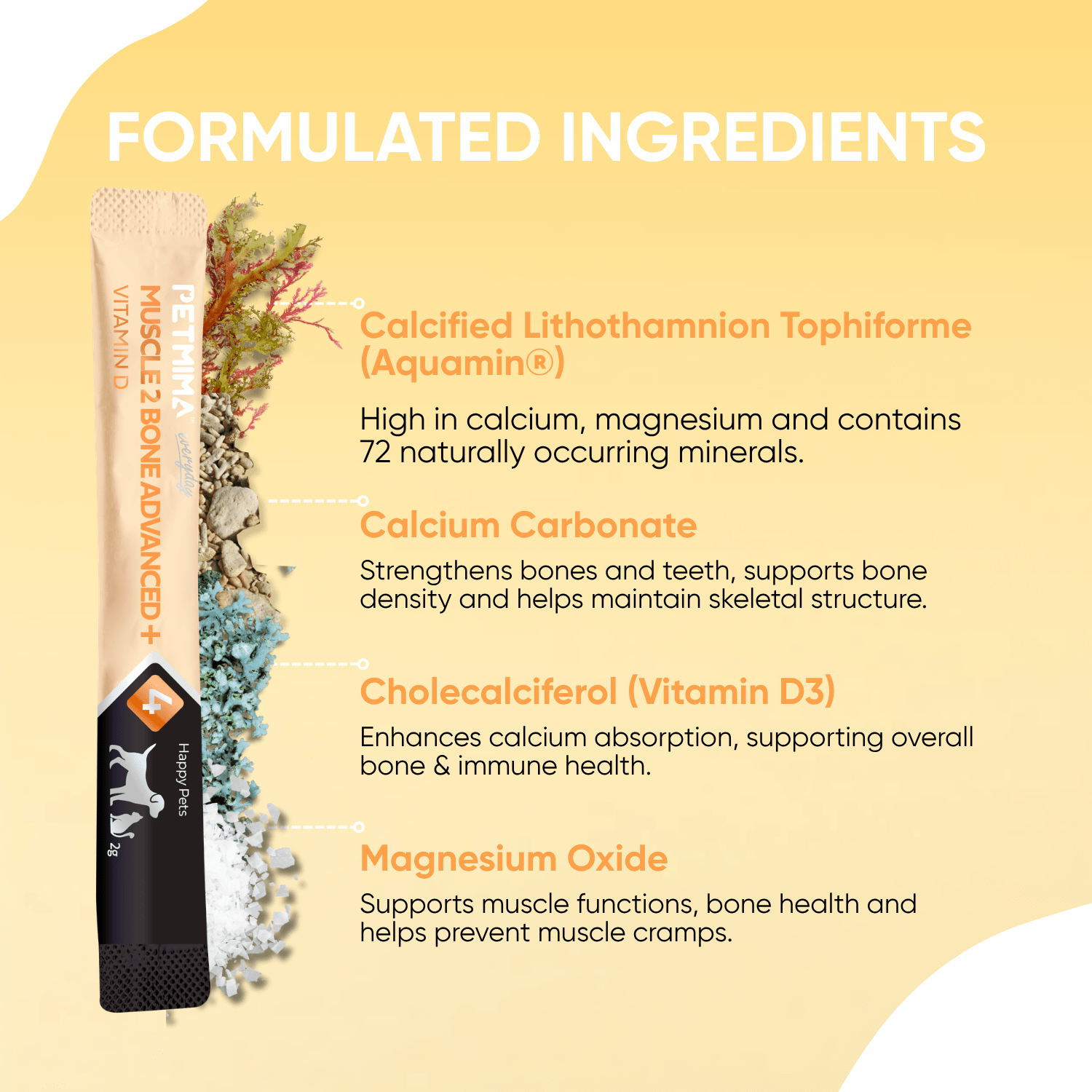 Muscle 2 Bone Advanced + Vitamin D