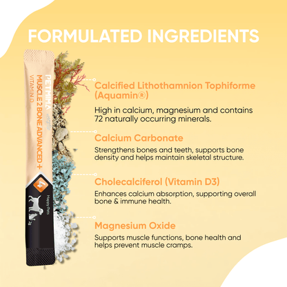 muscle supplements for dogs ingredients