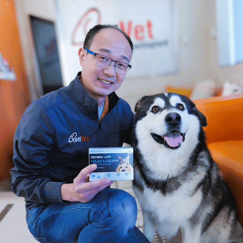 dog calming products review from activet